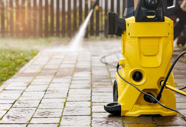 Best Roof Washing  in Oquawka, IL