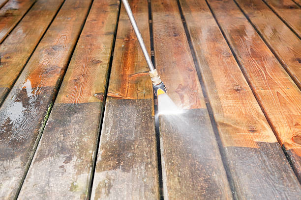Best Sidewalk and Walkway Cleaning  in Oquawka, IL